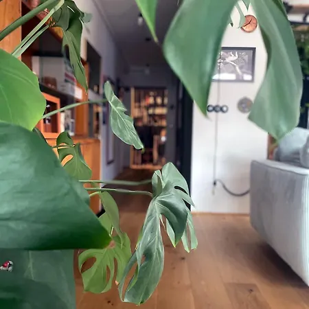 아파트 Przytulny Apartament Z Wyjatkowym Klimatem Nad Odra - Browary Wroclawskie